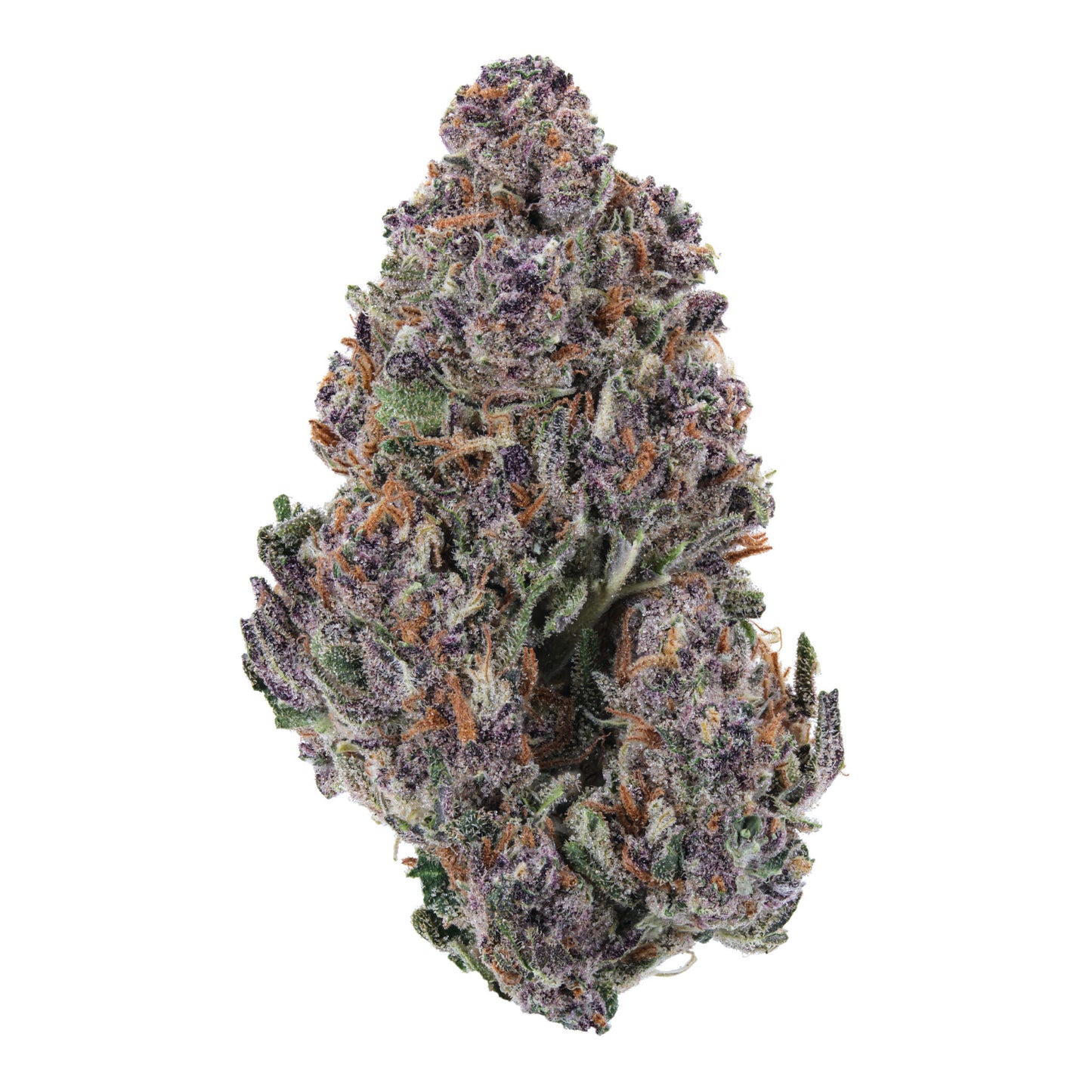 THCA Flower Kush Mint Cookies 1g